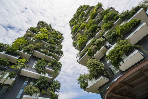 Sustainable Architecture & Positive Impact